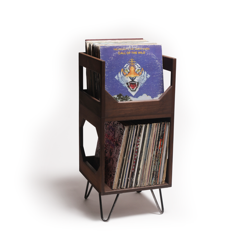 The Deluxe Jr. Vinyl Record Storage