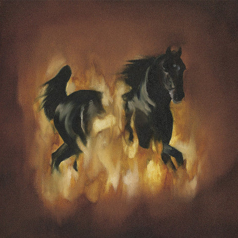 The Besnard Lakes - The Besnard Lakes Are The Dark Horse [LP]