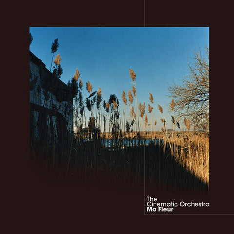 Cinematic Orchestra - Ma Fleur [LP]