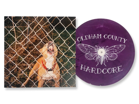 Knocked Loose - Pop Culture (Limited Edition Etched Purple Colored Vinyl)