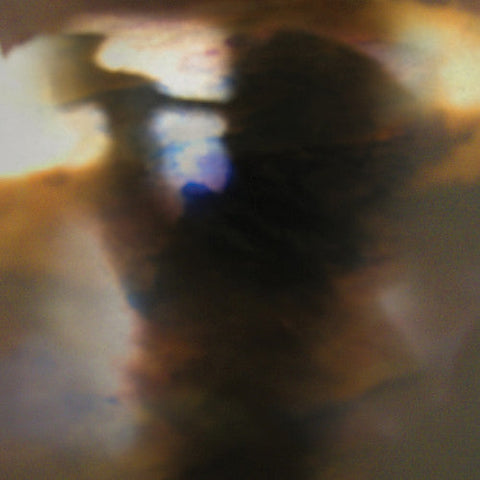 Animal Collective - Fall Be Kind [LP]