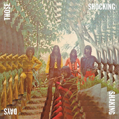 Those Shocking Shaking Days - Those Shocking Shaking Days [LP]