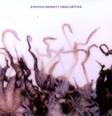 Stephin Merritt - Obscurities [LP]