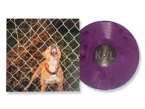 Knocked Loose - Pop Culture (Limited Edition Etched Purple Colored Vinyl)