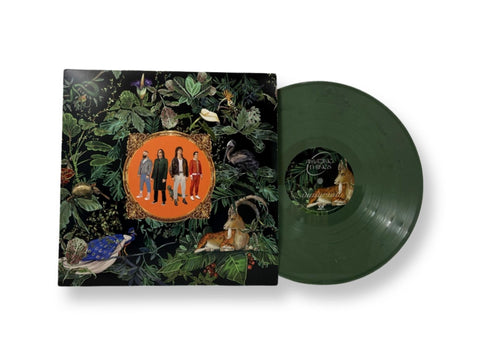 Don Broco - Amazing Things (Limited Edition Green Marble Colored Vinyl)