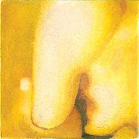 Smashing Pumpkins - Pisces Iscariot (Vinyl LP)