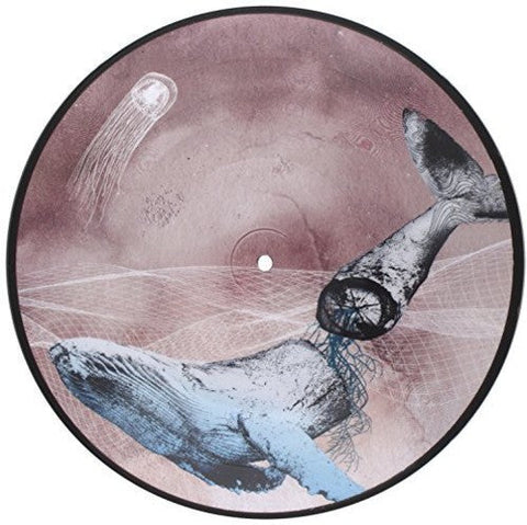 Mestis - Basal Ganglia [LP]