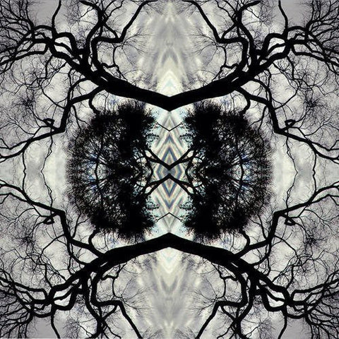 Adam Rudolph - Sonic Mandala Go: Organic Orchestra [LP]