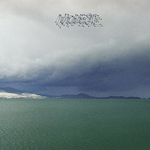 Modest Mouse - Fruit That Ate Itself (Vinyl LP)