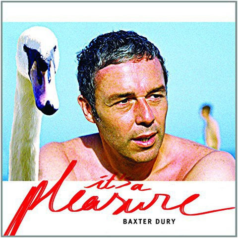 Baxter Dury - It's A Pleasure [Vinyl]