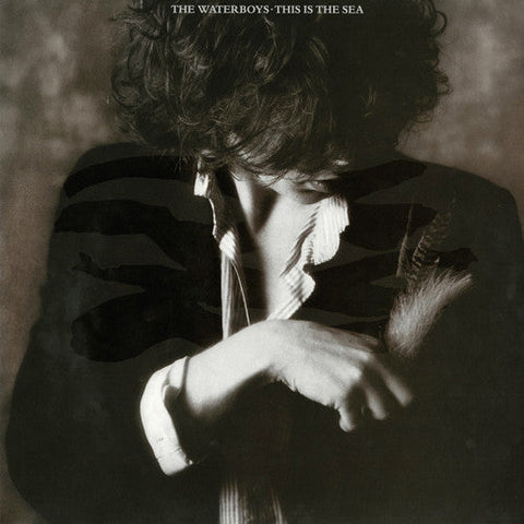 The Waterboys - This Is the Sea (Vinyl LP)