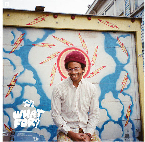 Toro Y Moi - What For? [Vinyl]