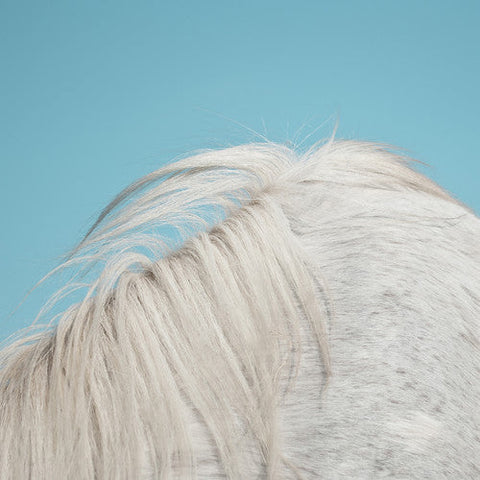 Widowspeak - All Yours [Vinyl]