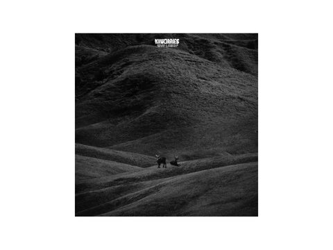 NxWorries - Why Lawd (Brown w/ Blue Splatter Colored Vinyl, Indie Exclusive)
