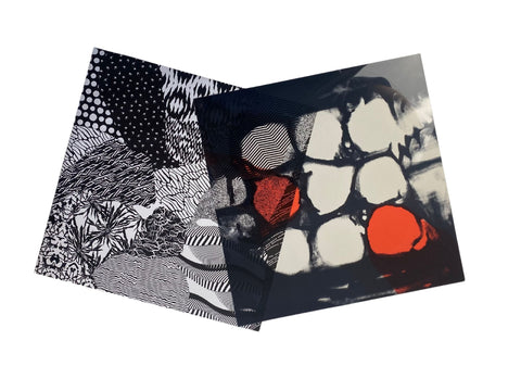 Twenty One Pilots - Blurryface (Limited Edition Silver Colored Vinyl)
