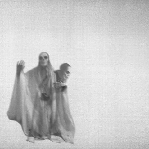 toyGuitar - Move Like A Ghost [LP]