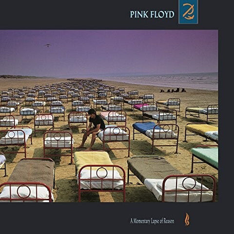 Pink Floyd - A Momentary Lapse Of Reason (Vinyl LP)