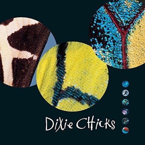 The Chicks - Fly (Vinyl LP)