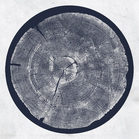 Roy Montgomery - R: Tropic Of Anodyne [LP]