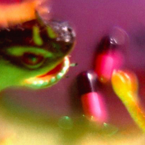 Bush Tetras - Take The Fall EP [Vinyl]
