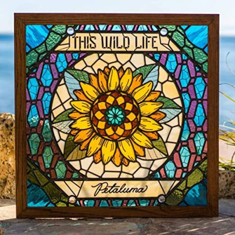 This Wild Life - Petaluma [Indie Exclusive Limited Edition Yellow LP]