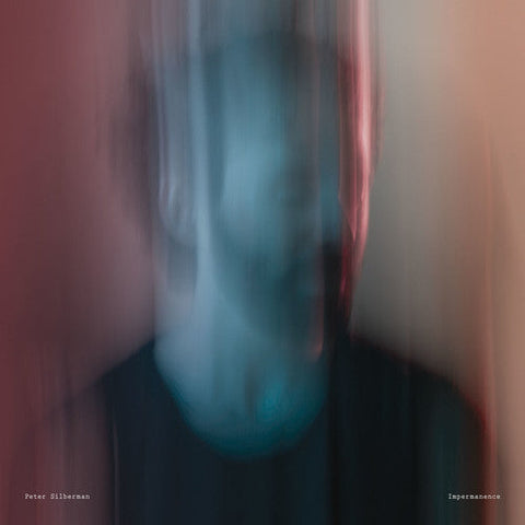 Peter Silberman - Impermanence [Vinyl]