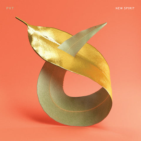 Pvt - New Spirit [LP]