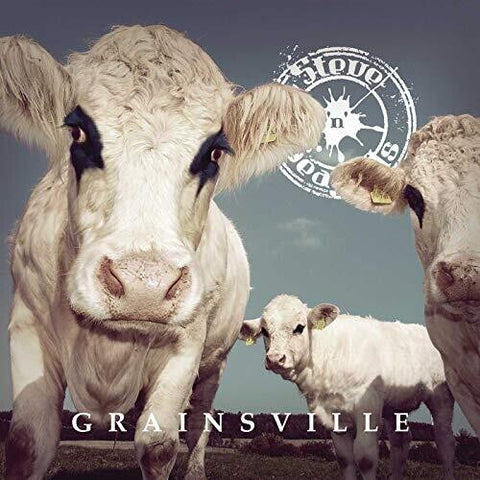 Steve N Seagulls - Grainsville (Vinyl LP)