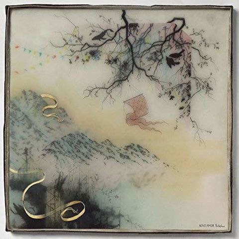 Novo Amor - Birthplace (Vinyl LP)