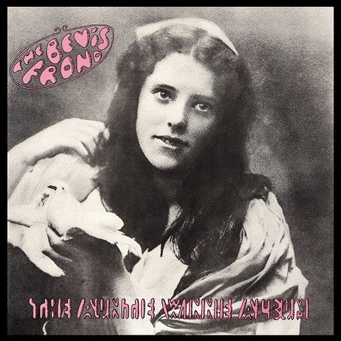 Bevis Frond - Auntie Winnie Album [LP]