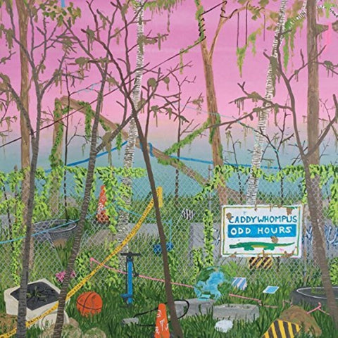 Caddywhompus - ODD HOURS [LP]
