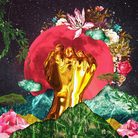 Rina Mushonga - In A Galaxy [LP]