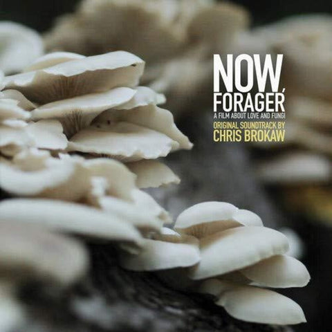 Chris Brokaw - Now Forager (Original Soundtrack) [LP]