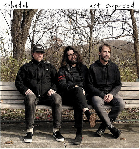Sebadoh - Act Surprised [LP]