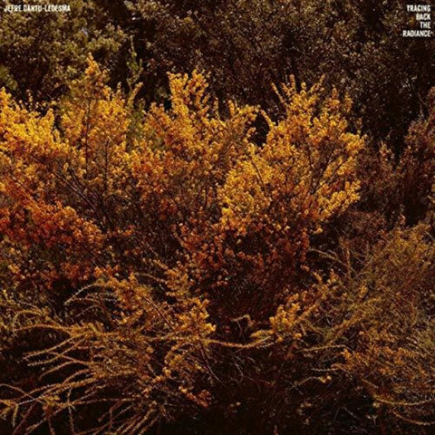 Jefre Cantu-Ledesma - Tracing Back The Radiance [LP]