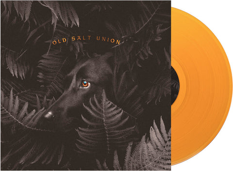 Old Salt Union - Where The Dogs Don't Bite [Limited Edition Orange LP]