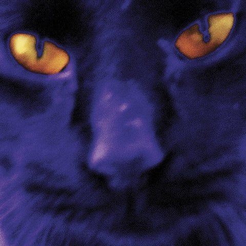 David Kilgour and the Heavy Eights - Bobbie's A Girl [LP]