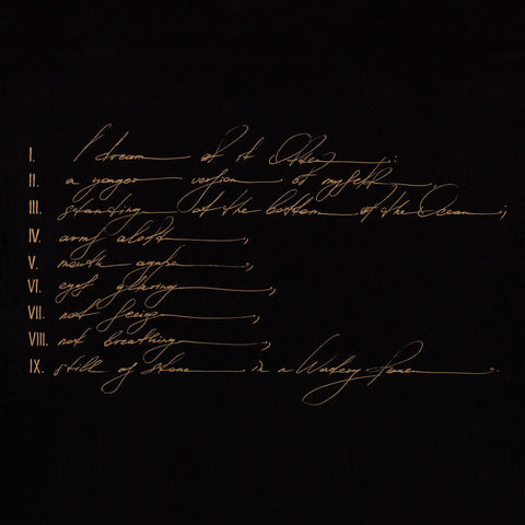 Telefon Tel Aviv - Dreams Are Not Enough [LP]