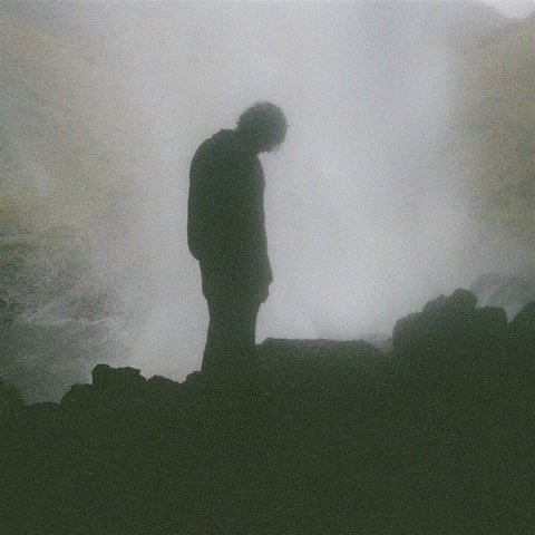 Palmistry - Afterlife [LP]