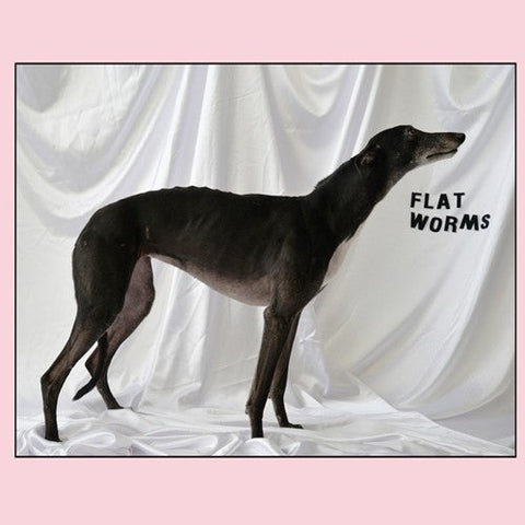 Flat Worms - Flat Worms [LP]