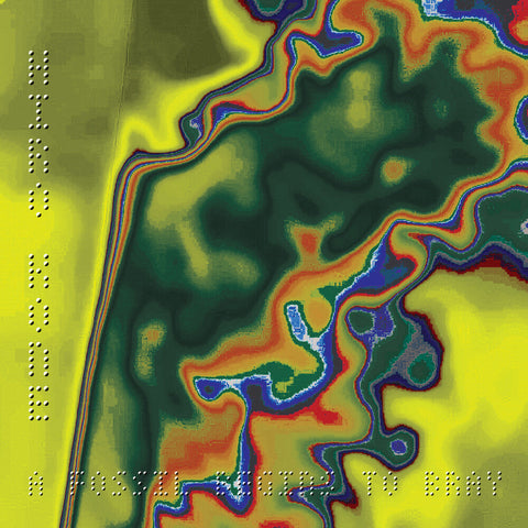 Hiro Kone - A Fossil Begins To Bray [LP]