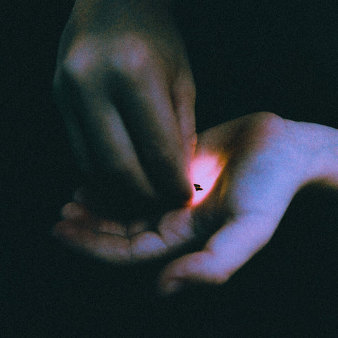 Bambara - Stray [LP]