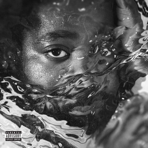 R.Lum.R - Surfacing [LP]
