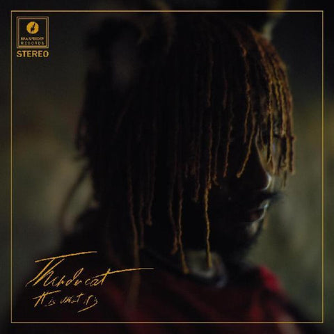 Thundercat - It Is What It Is [Deluxe Clear LP]