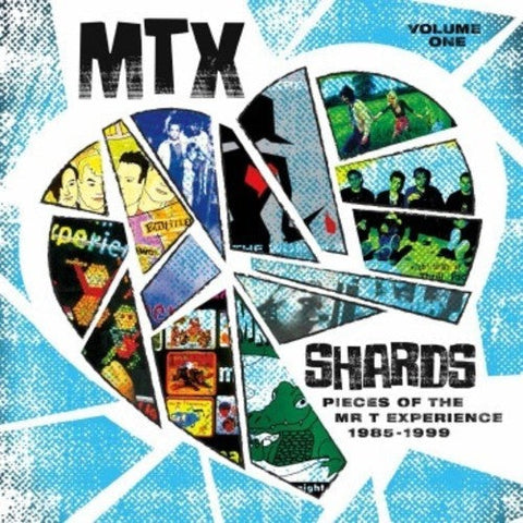 Mr T Experience - Shards Vol. 1 [LP]