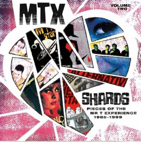 Mr T Experience - Shards Vol. 2 [LP]