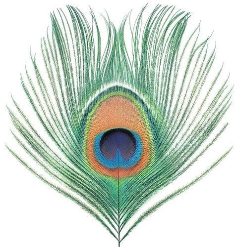 XTC - Apple Venus Vol 1 (Vinyl LP)