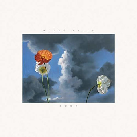 Blake Mills - Look [LP]