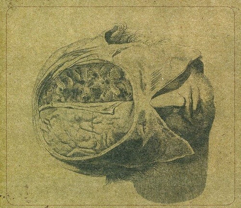 Farsot - Insects [LP]