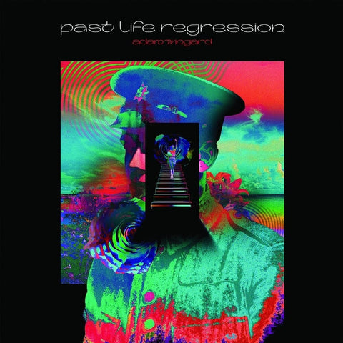 Adam Wingard - Past Life Regression (Blk) [180 Gram]